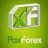 PaxForex Support